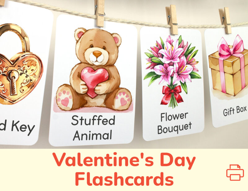Teddy Bear Stuffed Animal and Flower Bouquet flashcards hanging on twine with small wooden clothespins. Saint Valentine Day preschool curriculum classroom resources.