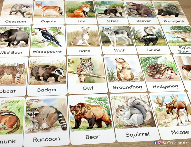 Set of Forest Animals flashcards laid out on the table for learning activity