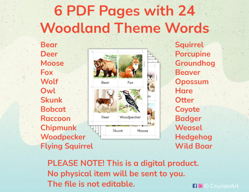Printable Woodland Animals Flashcards for Preschool and Kindergarten Forest Unit Activities