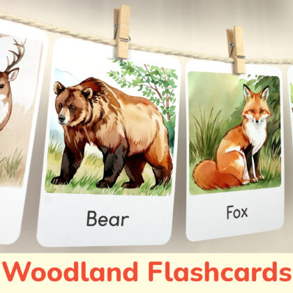 Brown bear and red fox flashcards hanging on twine with small wooden clothespins.