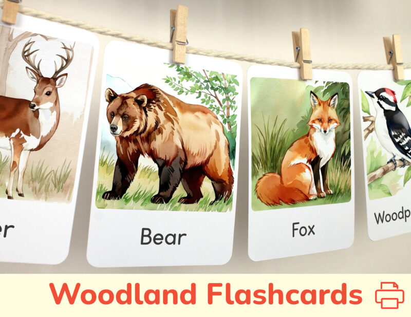 Brown bear and red fox flashcards hanging on twine with small wooden clothespins.