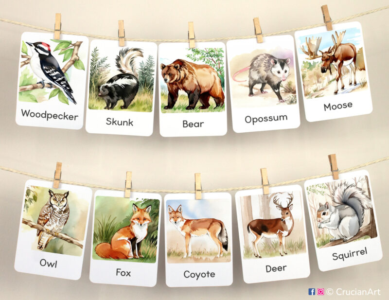 Set of Woodland Animals flashcards used as classroom or homeschool wall decor. Flash cards hang on twine with small wooden clothespins.