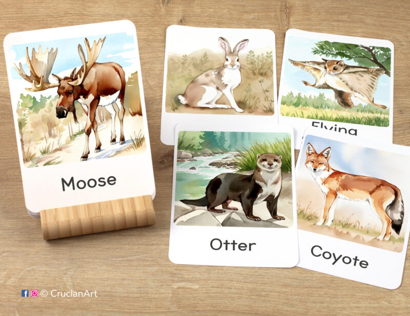 Forest Animals Unit Flashcards featuring images of Moose, Otter, Hare, Flying Squirrel, and Coyote, ready for learning activity