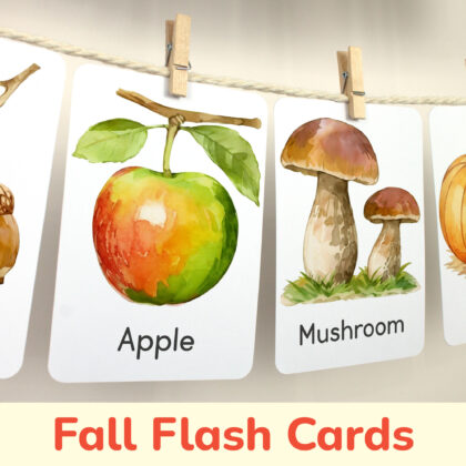 Apple, Pumpkin and Mushrooms flashcards hanging on twine with small wooden clothespins. Harvest Season curriculum resources. Seasonal class wall decor.