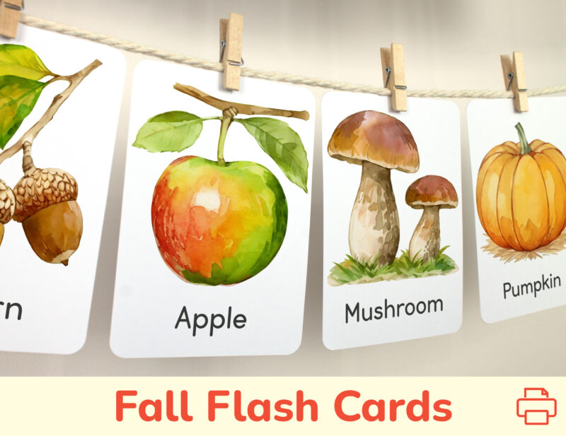 Apple, Pumpkin and Mushrooms flashcards hanging on twine with small wooden clothespins. Harvest Season curriculum resources. Seasonal class wall decor.
