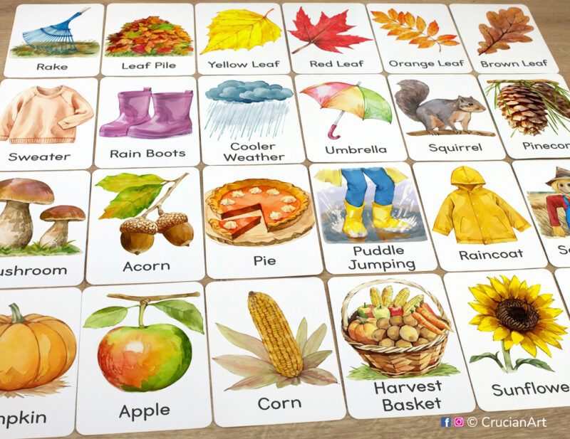 Set of Autumn Season flashcards laid out on the table for the seasonal educational activity. Toddler and preschool visual cards for fall vocabulary building.