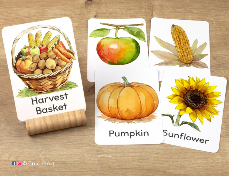 Harvest Time Flashcards featuring images of Harvest Basket, Pumpkin, Apple, Corn, and Sunflower, ready for learning activity. Vocabulary-building visual aids autumn printables.