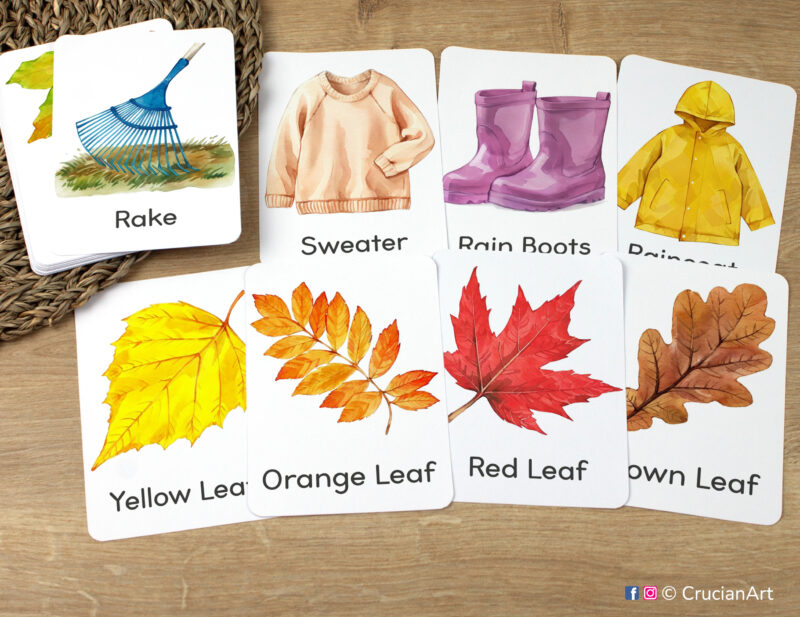 Fall Foliage Unit Flashcards featuring Yellow Leaf, Red Leaf, Orange Leaf, Brown Leaf, Rake, Rain Boots, Raincoat, Sweater laid out for Autumn Leaves study unit.
