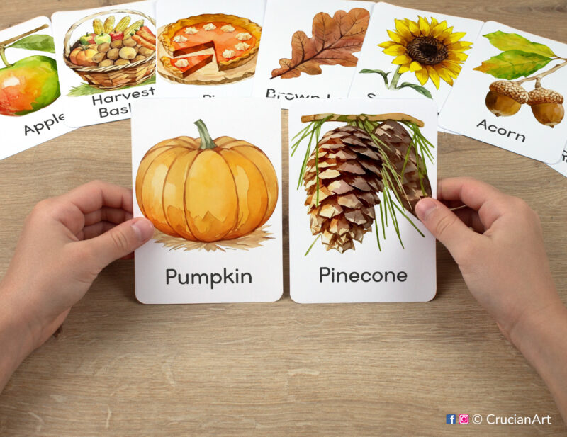 Pumpkin and Pinecone watercolor flashcards in child's hands. Pumpkin Patch unit educational printables. Autumn class decor.
