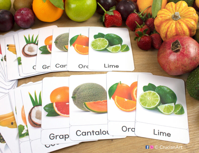 Set of real photo Fruits and Berries flashcards laid out on the table for preschool and kindergarten activity: Lime, Orange, Cantaloupe, Grapefruit, and Coconut