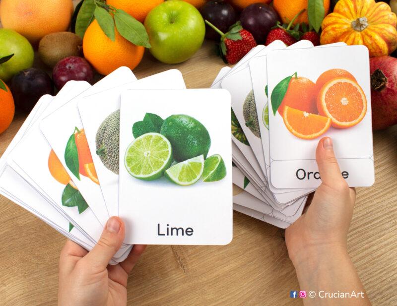 Orange and Lime fruit real photo flashcards in child hands. Fruits and Berries study unit. Summer season preschool and kindergarten educational printables.