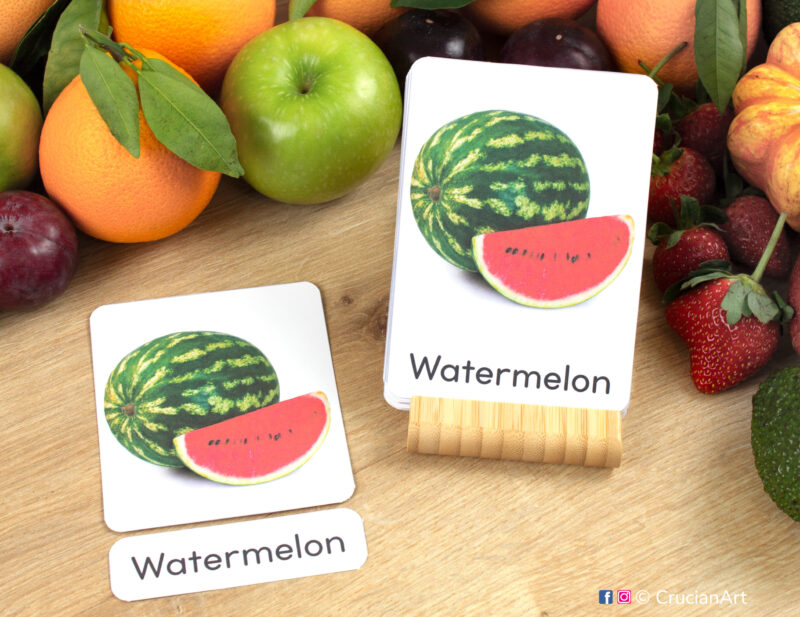 Fruits and Berries theme three-part cards with photographic pictures. Watermelon real photo flashcard.