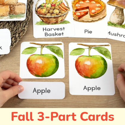Fall Season three part cards set: flashcard, watercolor visual card, and label with matching word. Harvest Time theme printable educational resource for autumn curriculum.