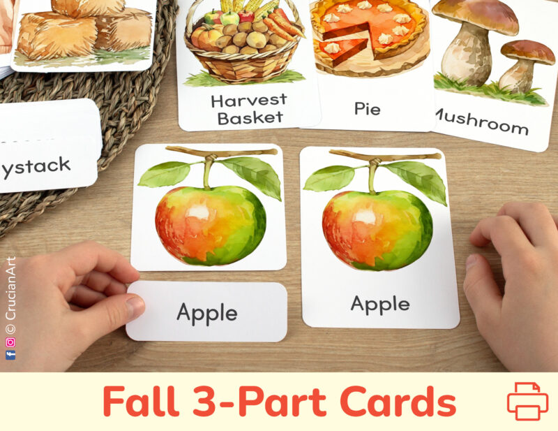 Fall Season three part cards set: flashcard, watercolor visual card, and label with matching word. Harvest Time theme printable educational resource for autumn curriculum.