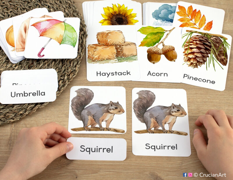 Fall Season three-part cards in practice: toddler pairing word label with corresponding Gray Squirrel image card. Autumn themed printable materials for Harvest Time week and Fall unit classroom activities.
