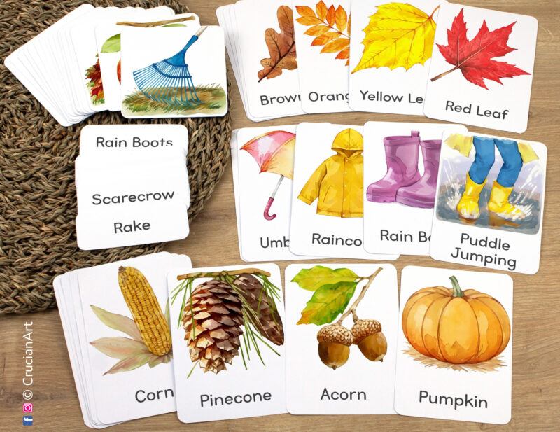 Fall Season Unit Flashcards featuring Pumpkin, Acorn, Pinecone, Corn, Red Leaf, Yellow Leaf, Orange Leaf, Brown Leaf laid out for studying