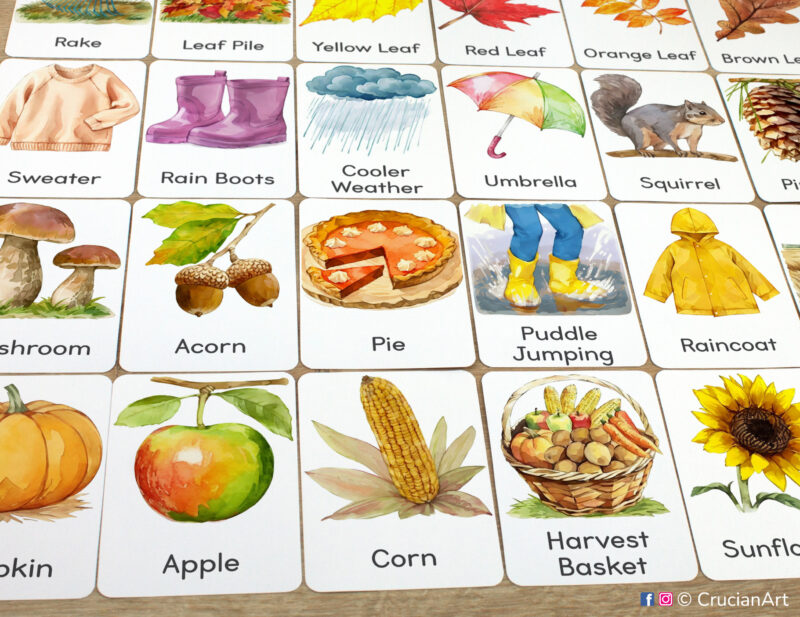 Set of Autumn Season flashcards laid out on the table for learning activity: Harvest Basket, Apple, Pumpkin, Corn, Sunflower, Acorns, Mushrooms, Yellow Raincoat, Umbrella, Rain Boots, and Puddle Jumping
