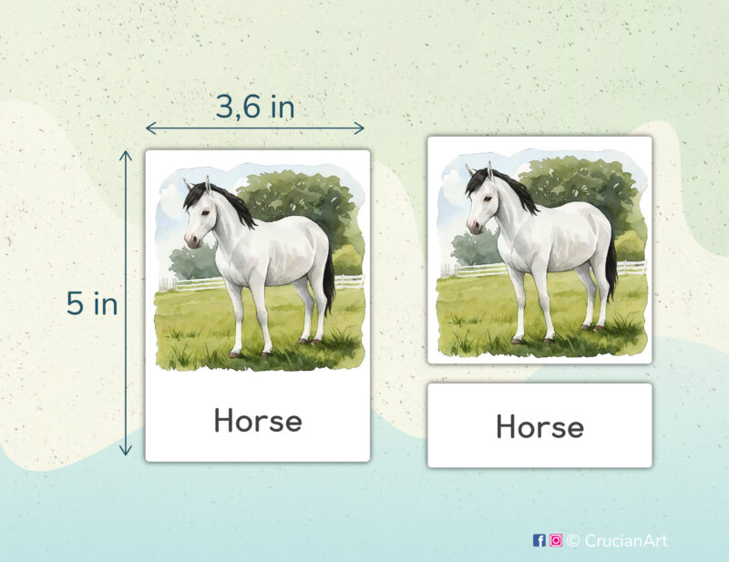 On the Farm theme 3-part cards homeschool printables. DIY educational resources for Farm Animals preschool and kindergarten curriculum. White Horse watercolor illustration.