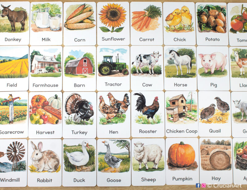 Set of Farm Animals flashcards laid out on the table for learning activity: Rabbit, Duck, Turkey, Sheep, Pig, Cow, Horse, Goat, Hen, Chick, Rooster, Goose, Donkey, Quail