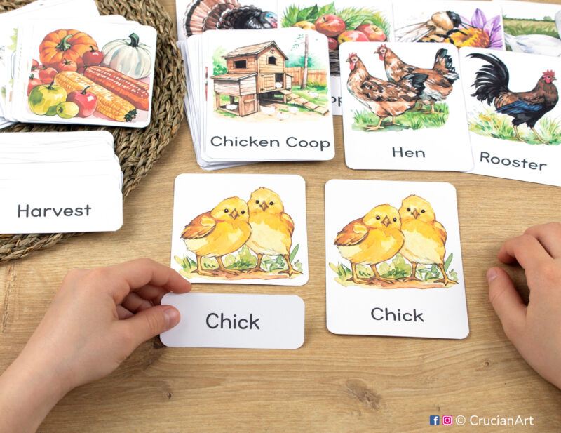 Three-part cards in practice: toddler pairing word label with corresponding Chicks image card. On the Farm themed printable materials for Farm Animals week and autumn unit preschool and kindergarten classroom activities.