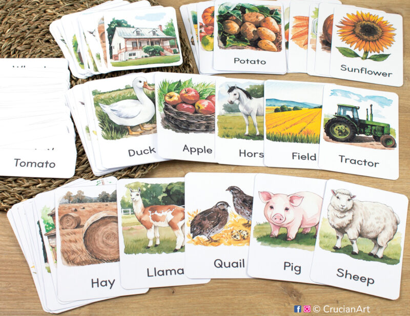 Barnyard Life and Farm Animals study unit flashcards featuring Pig, Sheep, Llama, Horse, Apples, Duck, Tractor, Quail, Farmhouse, Hay