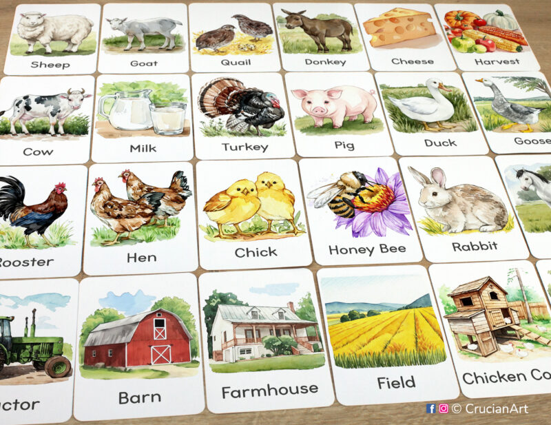 Set of Rural Life and Rustic Farm theme flashcards laid out on the table for learning activity. Fall and Harvest Season visual cards for toddler and preschool vocabulary building.