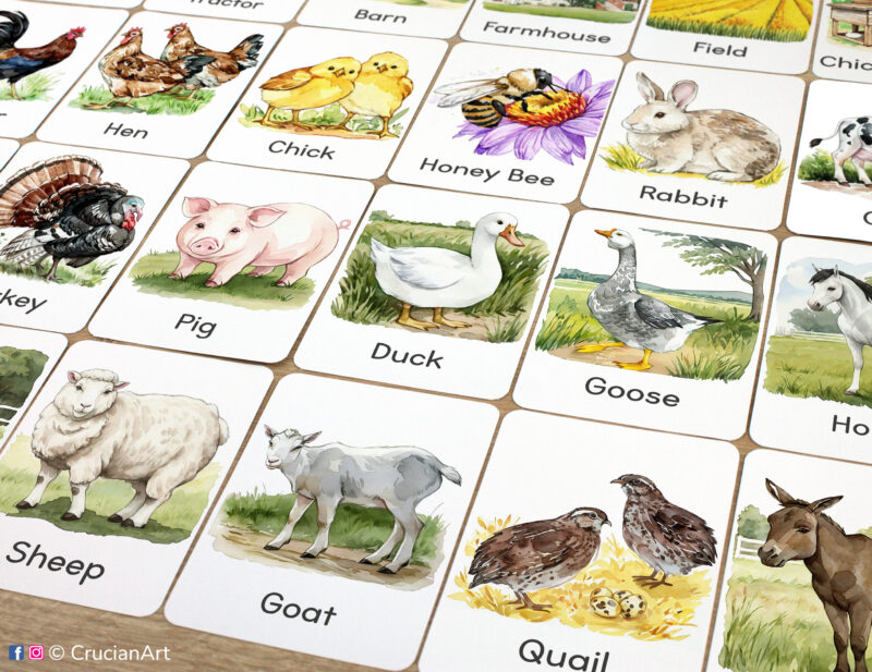 Set of Farm-themed flashcards. Printable resource for the Farm Animals study unit. Homeschool and classroom DIY decor. Preschool home school printables.