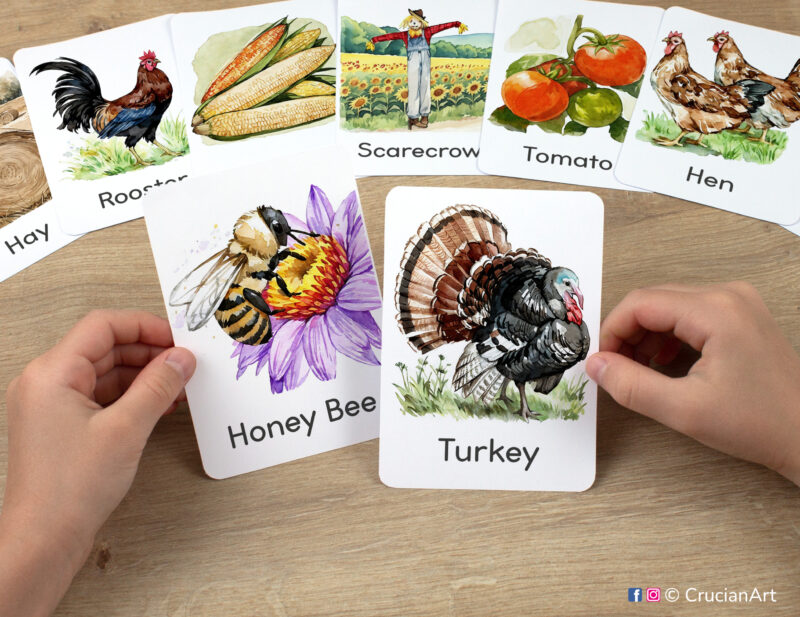 Honey Bee and Turkey watercolor flashcards in child's hands. Country Life unit educational printables.