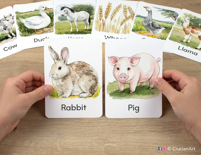 Watercolor illustrations of Rabbit and Pig flashcards in kindergartener's hands. Barnyard theme Montessori printables.