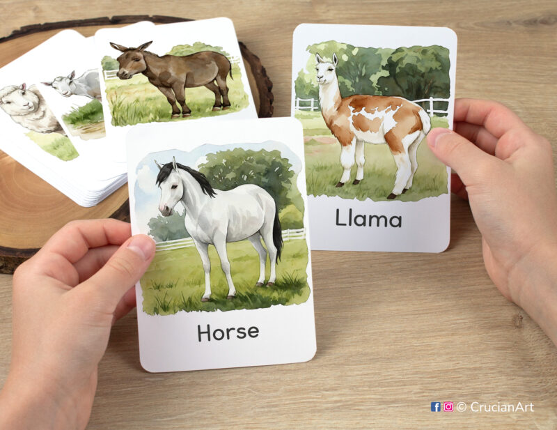 Preschooler's hands holding flashcards with watercolor images of Horse and Llama. Countryside Creatures visual cards for farm animals learning.