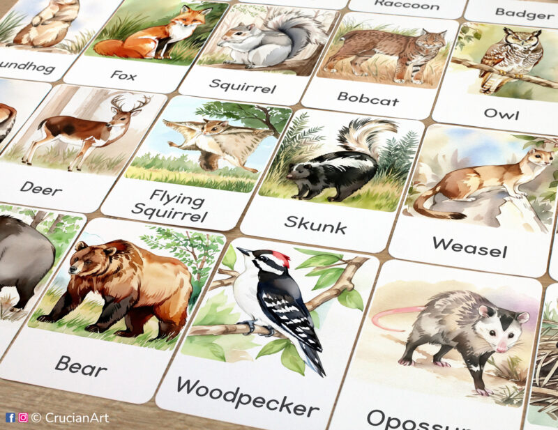 Set of printed Woodland and Forest Animals theme three-part cards for kids with watercolor illustrations of Woodpecker, Opossum, Skunk, Flying Squirrel, Weasel, Bobcat, Red Fox, Gray Squirrel, Red Deer and Great Horned Owl