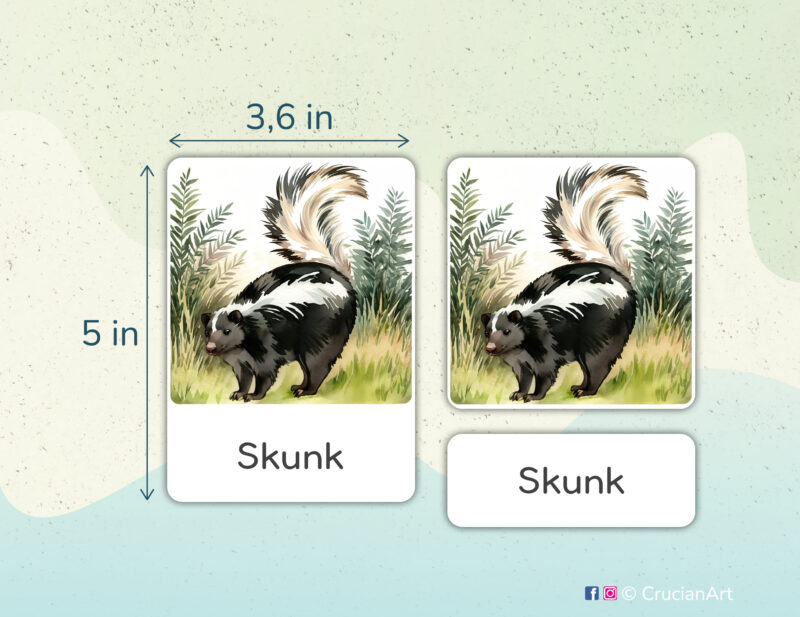 Woodland Animals theme 3-part cards homeschool printables. DIY educational resources for Forest Animals study unit. Skunk watercolor illustration.