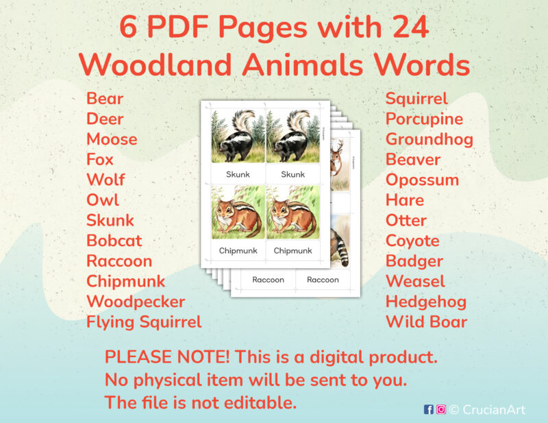 Printable Woodland Animals theme three part cards for preschool and kindergarten Forest Animals Unit activities