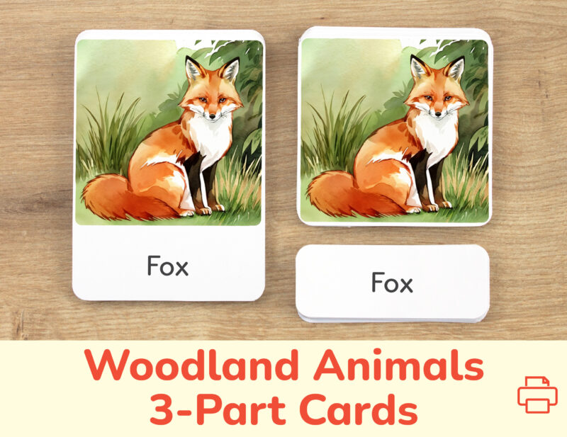 Woodland Animals three part cards set: flashcard, watercolor visual card, and label with matching word. Forest Animals printable educational resource for preschool nature study unit. Red Fox watercolor illustration.