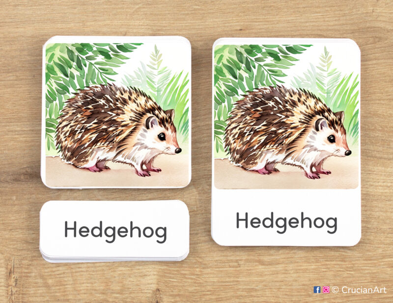 Woodland Animals theme 3-part cards homeschool printables. DIY educational resources for Forest Animals study unit. Hedgehog picture card, word card and control card.