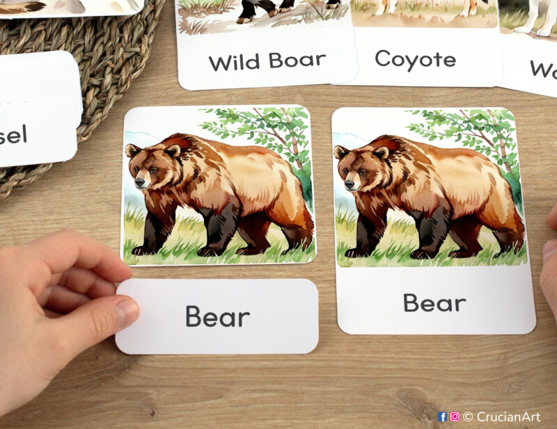 Three-part cards in practice: toddler pairing a word label with corresponding Brown Bear image card. Woodland Animals themed printable materials for Forest Animals week unit.