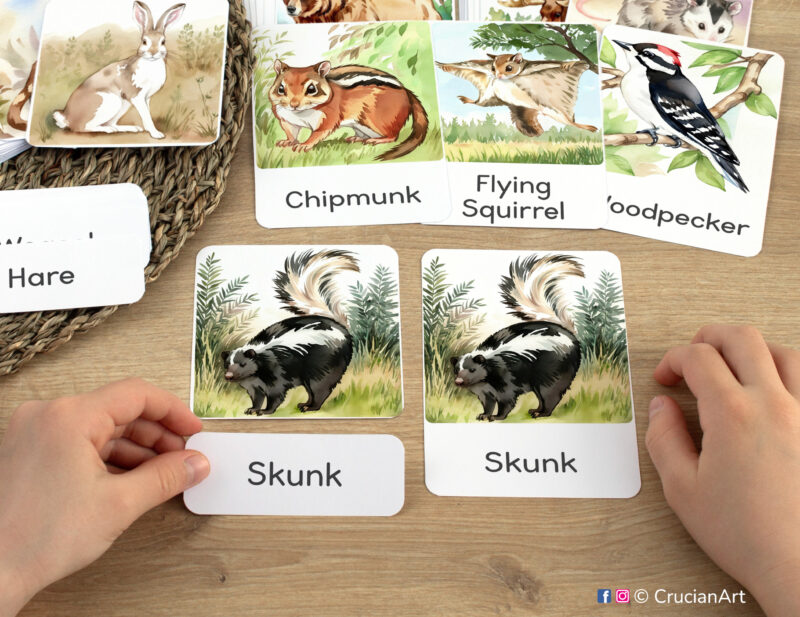 Three part cards in use: preschooler matching a word label to an image card of Skunk. Printables for Woodland Animals curriculum classroom resources.