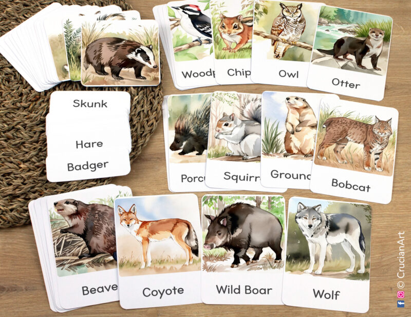 Forest and Woodland Animals study unit flashcards featuring Gray Squirrel, Bobcat, Porcupine, Groundhog, Otter, great horned owl, Woodpecker, Wild Boar (Feral Pig), Gray Wolf, Coyote, Badger laid out for studying