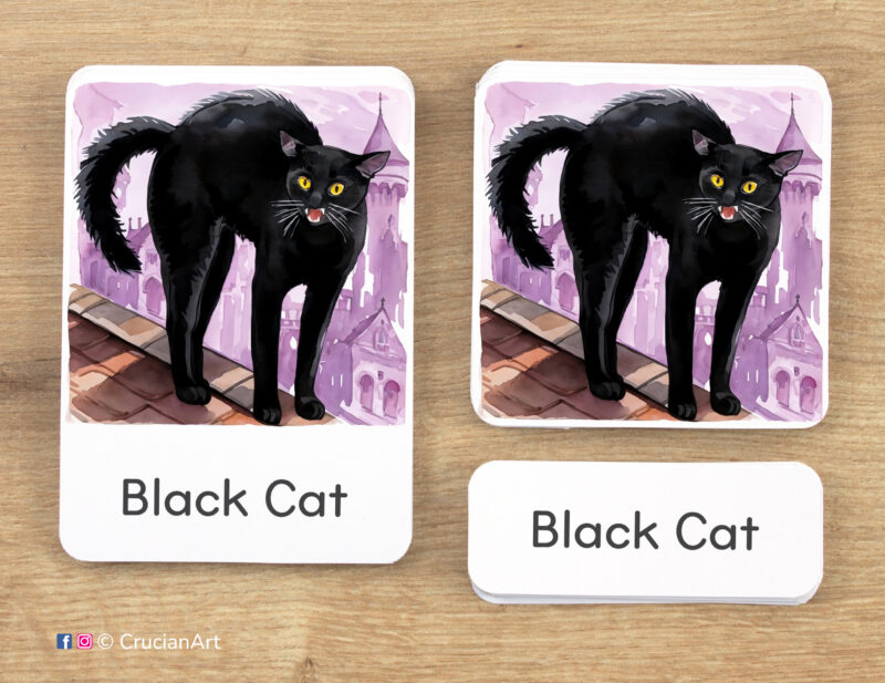 Halloween Holiday theme 3-part cards homeschool printables. DIY educational resources for Autumn Season curriculum. Black Cat visual card, word card and control card.