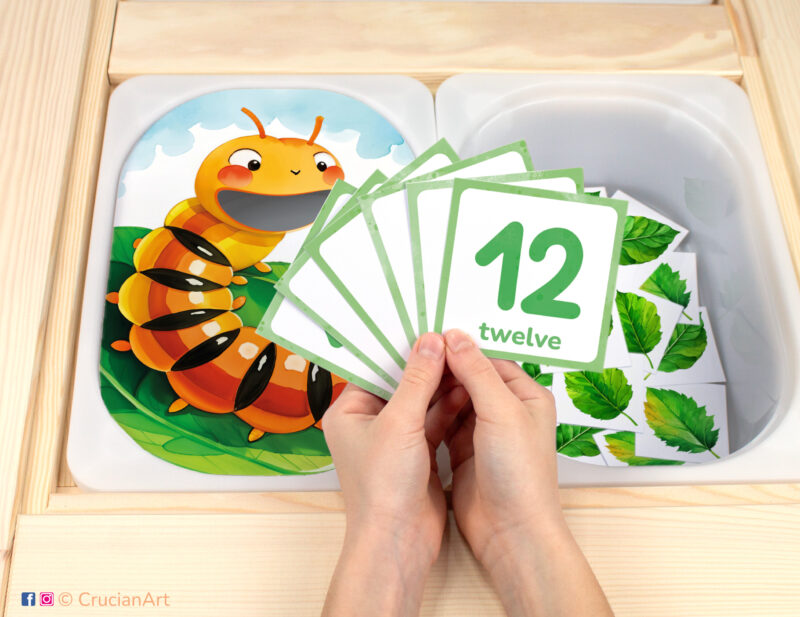 Hungry Caterpillar pretend play setup for Spring and Summer Season theme counting game. Insect themed sensory table insert and kids' hands holding task cards displaying numerals from 1 to 12.