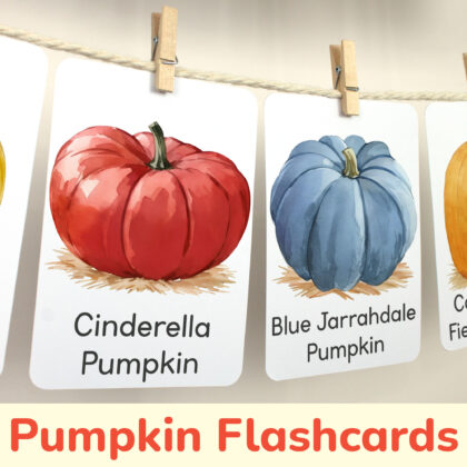 Cinderella Pumpkin and Blue Jarrahdale Pumpkin watercolor flashcards hanging on twine with small wooden clothespins. Autumn Harvest Time curriculum classroom resources.