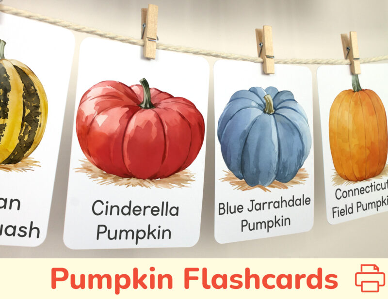 Cinderella Pumpkin and Blue Jarrahdale Pumpkin watercolor flashcards hanging on twine with small wooden clothespins. Autumn Harvest Time curriculum classroom resources.