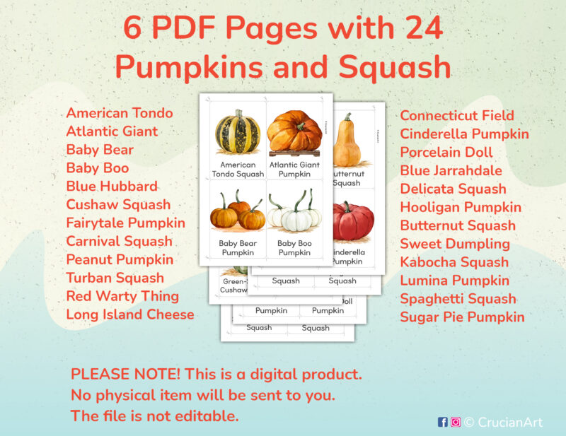 Printable Pumpkins and Squash Flashcards for Preschool and Kindergarten Autumn Harvest Unit Activities