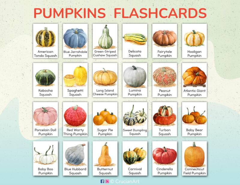 Printable Pumpkins and Squash Flashcards