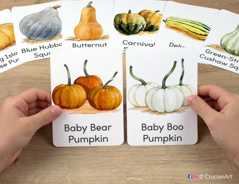 Baby Bear Pumpkin and Baby Boo Pumpkin watercolor flashcards in child hands. Autumn Harvest unit educational printables for fall season.
