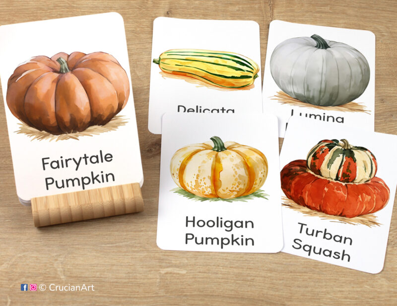 Pumpkins and Squash Fall Season Flashcards featuring watercolor images of Fairytale Pumpkin, Hooligan Pumpkin, Delicata Squash, Lumina Pumpkin, and Turban Squash, ready for learning activity
