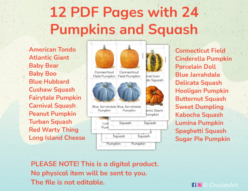 Printable Pumpkins and Squash Types three part cards for preschool and kindergarten Autumn Harvest Unit activities