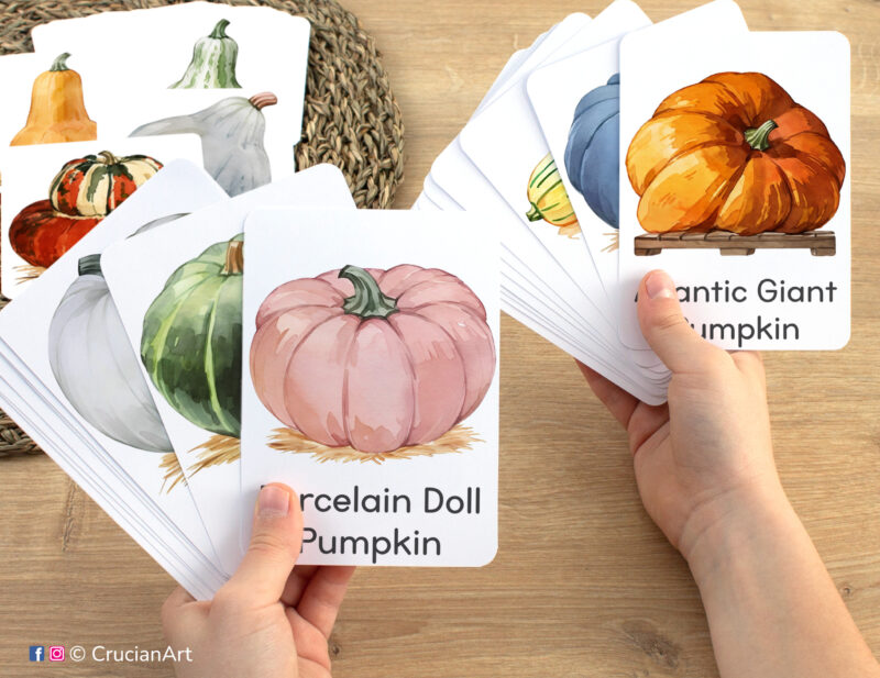 Porcelain Doll Pumpkin and Atlantic Giant Pumpkin watercolor visual cards in child hands. Pumpkins and Squash types educational printables for Harvest Season study unit.