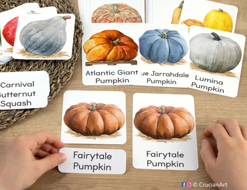 Three-part cards in practice: toddler pairing a word label with corresponding Fairytale Pumpkin image card. Common pumpkins and squash species themed printable materials for Harvest Season week unit.