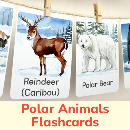 Reindeer Caribou and Polar Bear flashcards hanging on twine with small wooden clothespins. Resources for Arctic and Tundra Animals study unit.